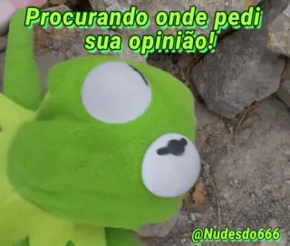 👀 Procurando onde pedi sua opinião! frog, meme, opinion, sarcastic, funny, searching telegram sticker