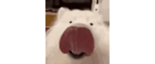 😛 anjing, lidah, hewan peliharaan, imut, binatang whatsapp sticker