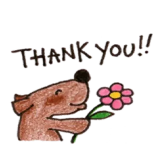 ✳️ THANK YOU!! クマ, 花, ありがとう, 感謝, かわいい, 動物 telegram sticker
