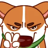 😑 dog, corgi, peace sign, animal, sticker telegram sticker