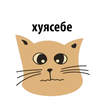 😏 хуясебе gato, russo, ofensivo telegram sticker