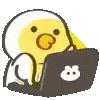 💻