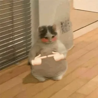 🍓 kat, verlegen, schattig, blozen, meme, vingers telegram sticker