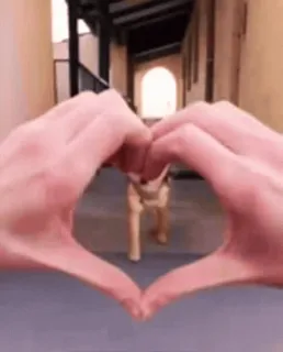 🌟 dog, heart, love, pet, puppy telegram sticker