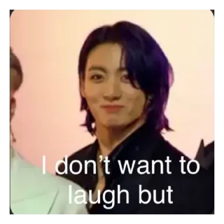 😄 Jungkook I don't want to laugh but K팝, 아이돌, 가수, 밈, 웃긴, 웃음 telegram sticker