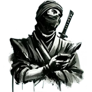 📱 Ninja, Samurái, Espada, Guerrero, Sigilo, Acción, Luchador whatsapp sticker