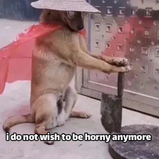 ✊ i do not wish to be horny anymore dog, cape, knife, funny, meme, hat, sunglasses telegram sticker