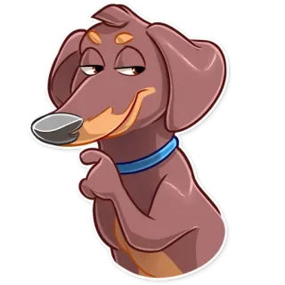 😏 หมา, ดัชชุน, การ์ตูน, สติกเกอร์, สัตว์ telegram sticker