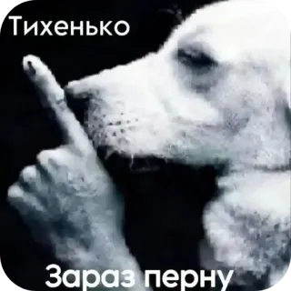 🐕 Тихенько
Зараз перну dog, finger, silence, quiet, shh telegram sticker