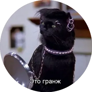 Кот Салем telegram stickers
