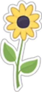 🌻 Blume, Sonnenblume, Pflanze, Natur, Frühling, Sommer telegram sticker