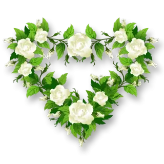 ☹️ fleur, coeur, floral, roses, fleurs blanches, feuilles, romantique telegram sticker