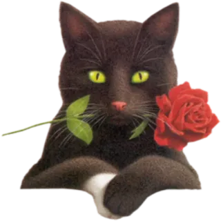 🌹 kucing, bunga, mawar, hewan, hewan peliharaan, cinta, valentine telegram sticker