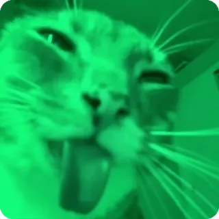 🍏 telegram sticker