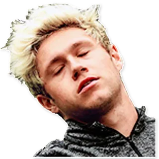 😵 Niall Horan Niall Horan, One Direction, Chanteur, Célébrité, Portrait telegram sticker