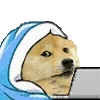 💻