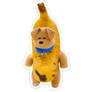 🍌 개, 바나나, 웃긴, 귀여운, 과일, 동물 telegram sticker