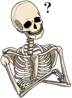 🤔 โครงกระดูก, เครื่องหมายคำถาม, ความคิด, กระดูก, กายวิภาคศาสตร์ telegram sticker