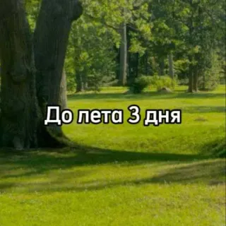 ☀️ До лета 3 дня verano, días, cuenta atrás, naturaleza, árboles, campo telegram sticker