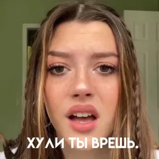 🙃 ХУЛИ ТЫ ВРЕШЬ telegram sticker
