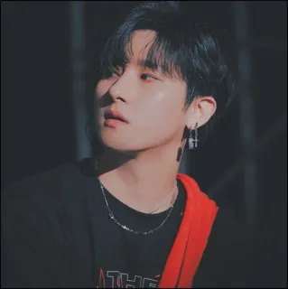 🏹 portret, man, kpop, idool, aziatisch, oorbellen, ketting telegram sticker
