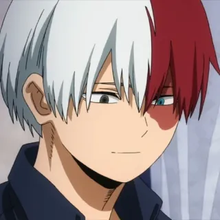 ☺️ Shoto Todoroki My Hero Academia Anime, My Hero Academia, Shoto Todoroki, Charakter, rote Haare, weiße Haare, Heterochromie whatsapp sticker