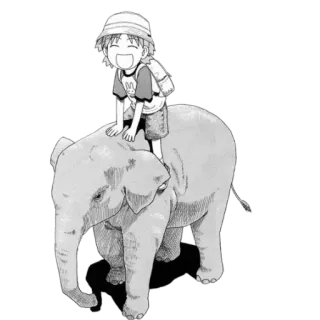 🐘 bé trai, voi, động vật, trẻ em, cưỡi, động vật có vú whatsapp sticker