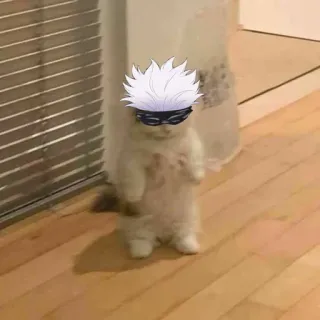 🐱 Gojo Satoru Jujutsu Kaisen gato, Gojo Satoru, Jujutsu Kaisen, anime, mangá telegram sticker