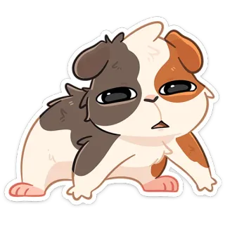 😩 cobaya, mascota, animal, lindo, dibujos animados, pegatina telegram sticker