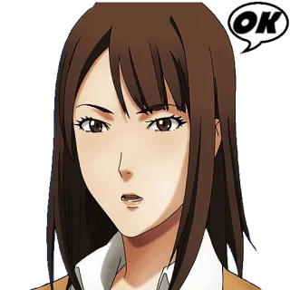 🆗 OK Anime, Mujer, Pelo castaño, Expresión facial whatsapp sticker