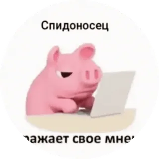 👨‍💻 Спидоносец Schwein, Laptop, Cartoon, Tier, Internet-Troll telegram sticker