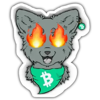 🐱 serigala, kripto, bitcoin, mata api, binatang, mata uang digital, mata uang whatsapp sticker