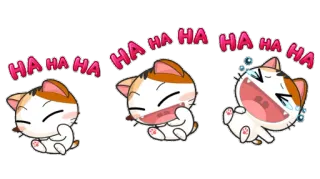 🤣 HA HA HA gato, risa, humor, lindo, divertido, emoción, gatito telegram sticker
