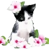 ☆ @emoji1 ★ telegram emojis 🐱