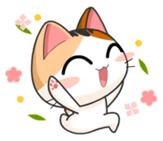 💃 猫, 可愛い, 動物, ハッピー, かわいい, 花 telegram sticker