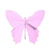🦋
