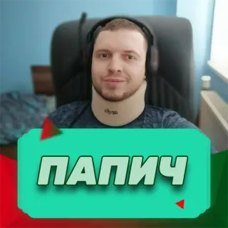 Папич @stickernayaa telegram stickers
