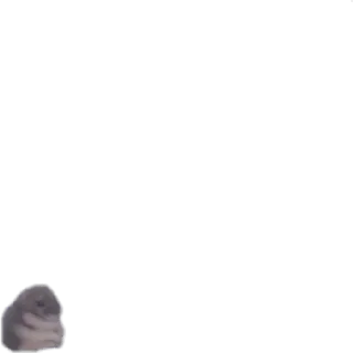 😶 hamster, imut, binatang, hewan peliharaan, meme, lucu telegram sticker
