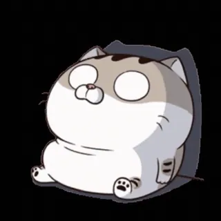😨 mèo, động vật, nhãn dán, dễ thương, hoạt hình whatsapp sticker