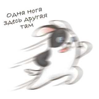🐶 Одна нога здесь другая там running, animal, rabbit, cartoon, speed, motion telegram sticker