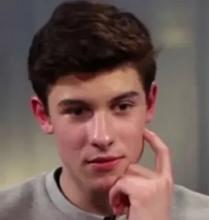 🤔 Shawn Mendes singer, celebrity, portrait, male, person telegram sticker