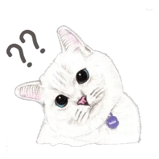 ❓ Jasper 고양이, 애완동물, 흰 고양이, 동물, 귀여운, 반려동물 telegram sticker