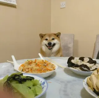 ❤️ dog, shiba inu, food, dinner, meal telegram sticker