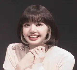 🐙 Lisa singer, celebrity, kpop, portrait, woman, lisa, blackpink telegram sticker