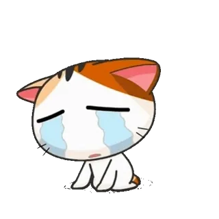 😢 แมว, ร้องไห้, เศร้า, น้ำตา, การ์ตูน, สติกเกอร์, อิโมจิ telegram sticker