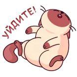 😵 gato, adesivo, animal, fofo, desenho animado, engraçado whatsapp sticker
