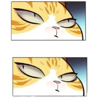 👁 고양이, 밈, 웃긴, 동물, 애완 동물, 눈 telegram sticker