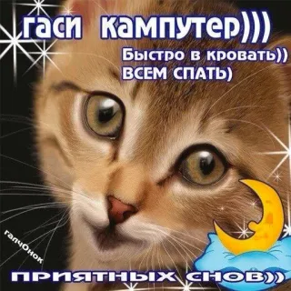 ВсратыеОдноклассники telegram stickers