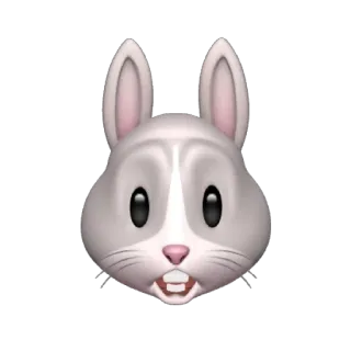 🐰 กระต่าย, สัตว์, อีโมจิ, น่ารัก whatsapp sticker