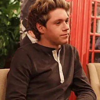 🌙 Niall Horan Niall Horan, Sänger, One Direction, Promi, Musiker, männlich, Porträt telegram sticker